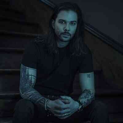 Seven Lions